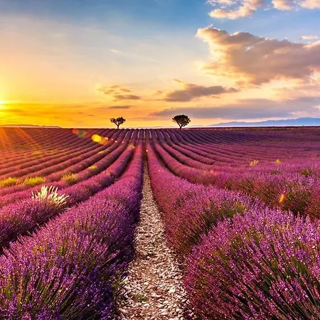 De Renovee En 2023 Daire *